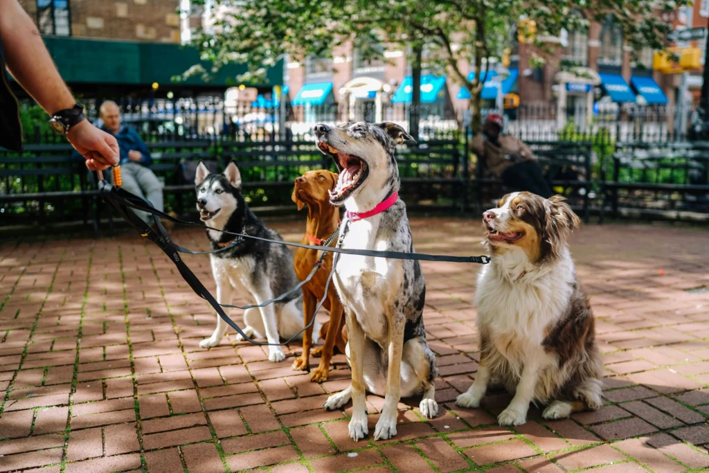 Pet-friendly Hotels Charlotte NC